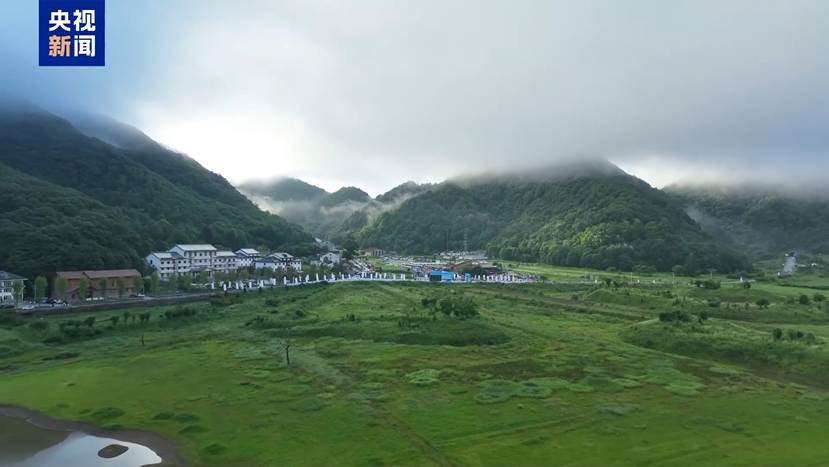 草地上的风景 AI 生成的内容可能不正确。