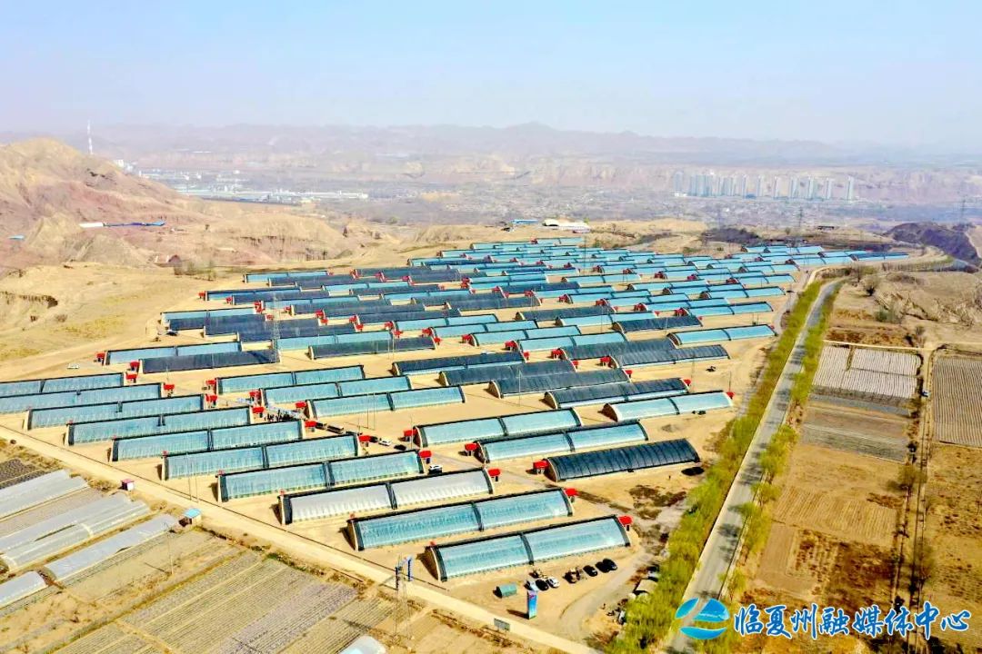 以及非法违法采矿问题涉及的“砂霸”“矿霸”等涉黑涉恶线索、非法违法采矿背后的“保护伞”及监管人员失职渎职等问题的举报